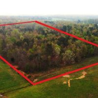 68 Acres For Sale in Ripley County MO