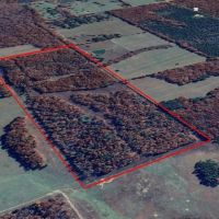 68 Acres For Sale in Ripley County MO images 2