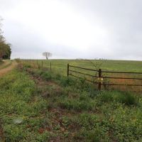 68 Acres For Sale in Ripley County MO images 3