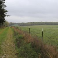 68 Acres For Sale in Ripley County MO images 4