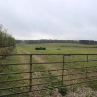 68 Acres For Sale in Ripley County MO images 5