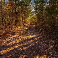 13 - Acres Great place to build a home Evening Shade Arkansas