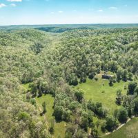 Colyotte Hollow Hideaway