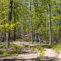 Colyotte Hollow Hideaway images 4