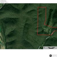 Colyotte Hollow Hideaway images 5