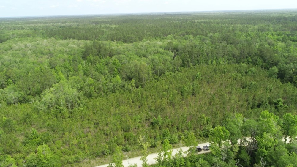40 Ac Mini-farm Madison Co FL featured image