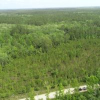 40 Ac Mini-farm Madison Co FL