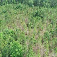 40 Ac Mini-farm Madison Co FL images 2