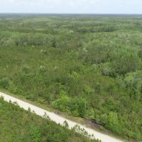 40 Ac Mini-farm Madison Co FL images 5