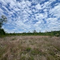 16 Acres in Wayne County MS images 2