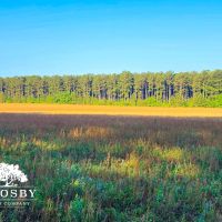 Silo Tract images 3