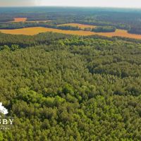 Silo Tract images 5