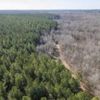 Timber Investment Montgomery County MS images 3