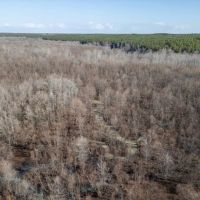 Timber Investment Montgomery County MS images 4