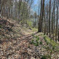 101 acres Wooded Hunting Land and Recreational Property in Richford NY State Route 79