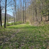 101 acres Wooded Hunting Land and Recreational Property in Richford NY State Route 79 images 2