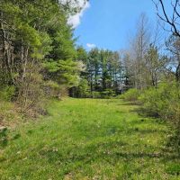 101 acres Wooded Hunting Land and Recreational Property in Richford NY State Route 79 images 3