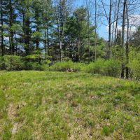 101 acres Wooded Hunting Land and Recreational Property in Richford NY State Route 79 images 4