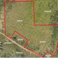 101 acres Wooded Hunting Land and Recreational Property in Richford NY State Route 79 images 5