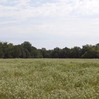 RANCH AND RECREATIONAL 520 ACRES BOSWELL CHOCTAW CO. OKLA. images 4