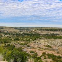 W.O. Mills Ranch images 4