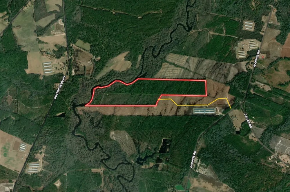 137.18 acres of Riverfront Timberland and Recreational Land For Sale in Sampson County NC featured image