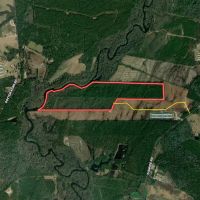 137.18 acres of Riverfront Timberland and Recreational Land For Sale in Sampson County NC