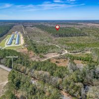 137.18 acres of Riverfront Timberland and Recreational Land For Sale in Sampson County NC images 2