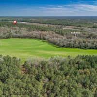 137.18 acres of Riverfront Timberland and Recreational Land For Sale in Sampson County NC images 4