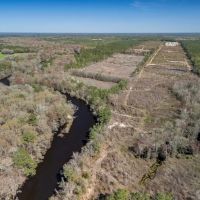 137.18 acres of Riverfront Timberland and Recreational Land For Sale in Sampson County NC images 5