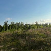 22 Acres in Wayne County MS