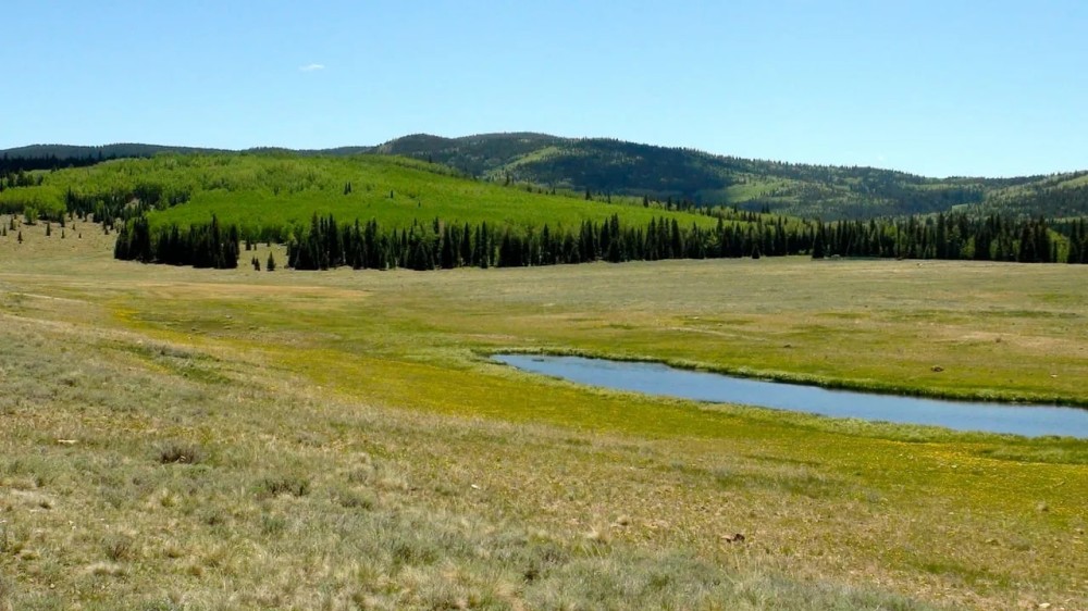 Arrowhead Alpine Ranch featured image