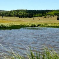 Arrowhead Alpine Ranch images 2