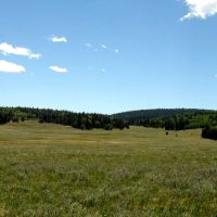 Arrowhead Alpine Ranch images 4