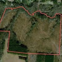 98 acre Development and Recreational Land for Sale in Johnston County NC