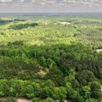 98 acre Development and Recreational Land for Sale in Johnston County NC images 2
