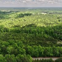 98 acre Development and Recreational Land for Sale in Johnston County NC images 4