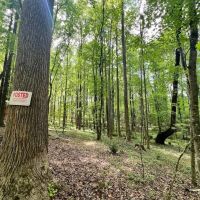98 acre Development and Recreational Land for Sale in Johnston County NC images 5
