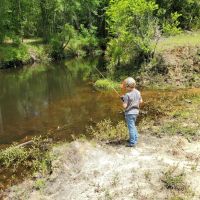 Fort Pleasant Farm images 2