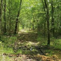 Fort Pleasant Farm images 4