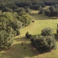 Fort Pleasant Farm images 5