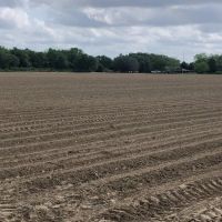 LA - Franklin 67 acres - images 2