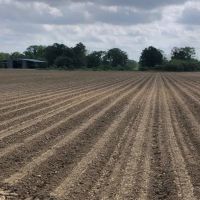 LA - Franklin 67 acres - images 3