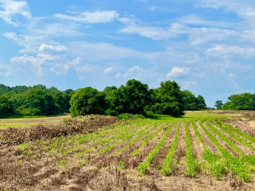 Rural Secluded and Multi-use Pontential featured image