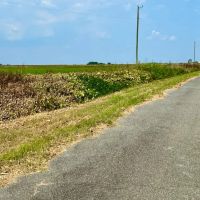 Rural Secluded and Multi-use Pontential images 2