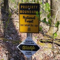 211 - Acres Bordered by U.S. Forest Service images 2