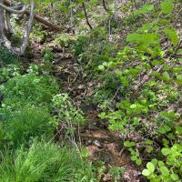 211 - Acres Bordered by U.S. Forest Service images 5
