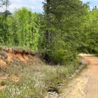 16 Acres in Wayne County MS