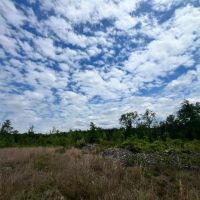 16 Acres in Wayne County MS images 3