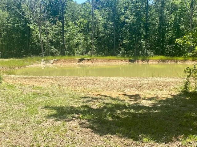 Camp and 49 acres Amite Co. featured image